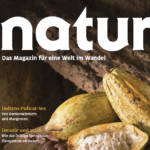 Invasive Pflanzen: Der Einfluss über Ökosystemgrenzen hinweg